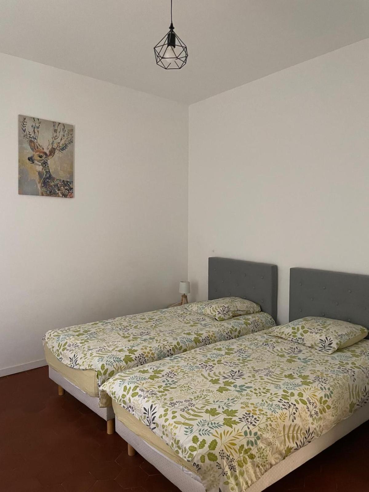 Appartement Gaudi Centre Historique Perpignan Zewnętrze zdjęcie